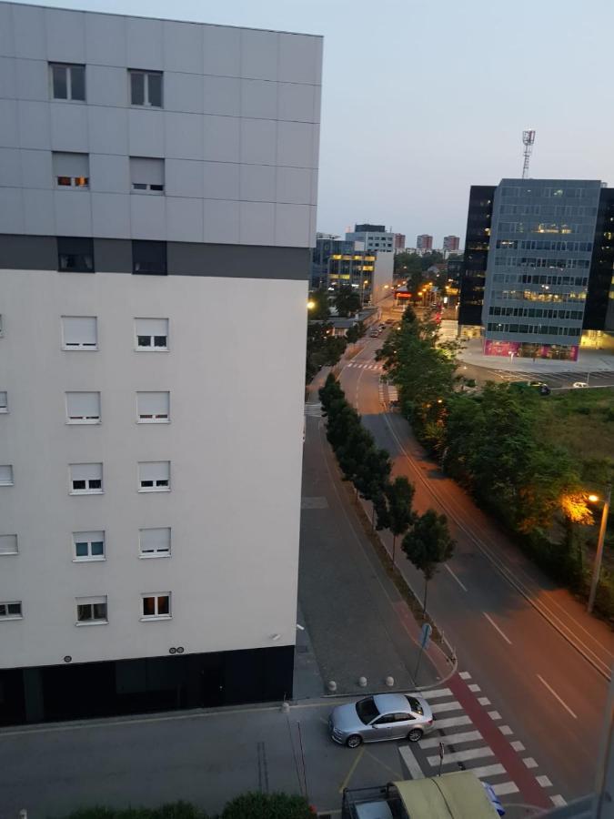 Gold Shadow Apartment
