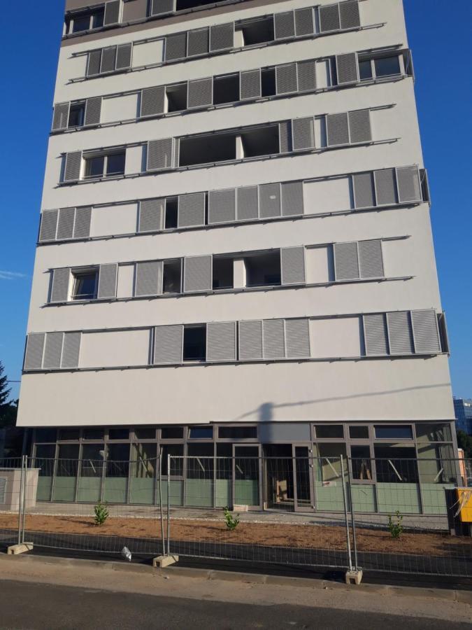 Gold Shadow Apartment